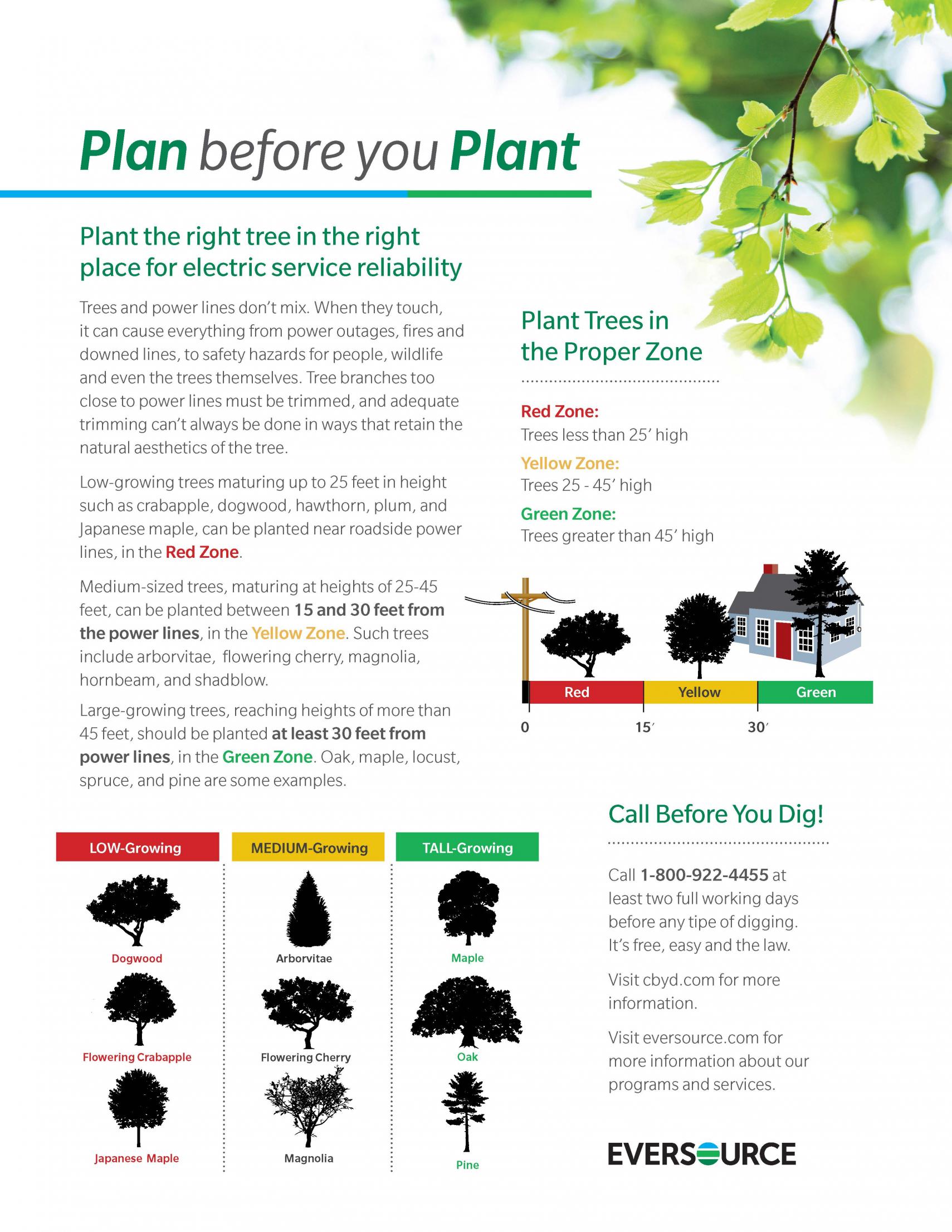Plan before you plant