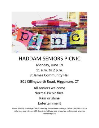 Seniors picnic